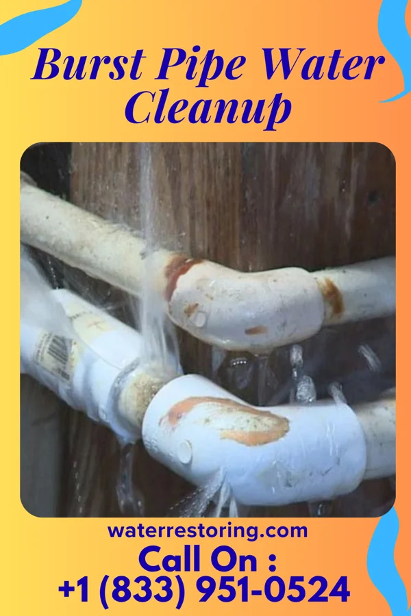 Burst Pipe Water Cleanup in Alba, MO