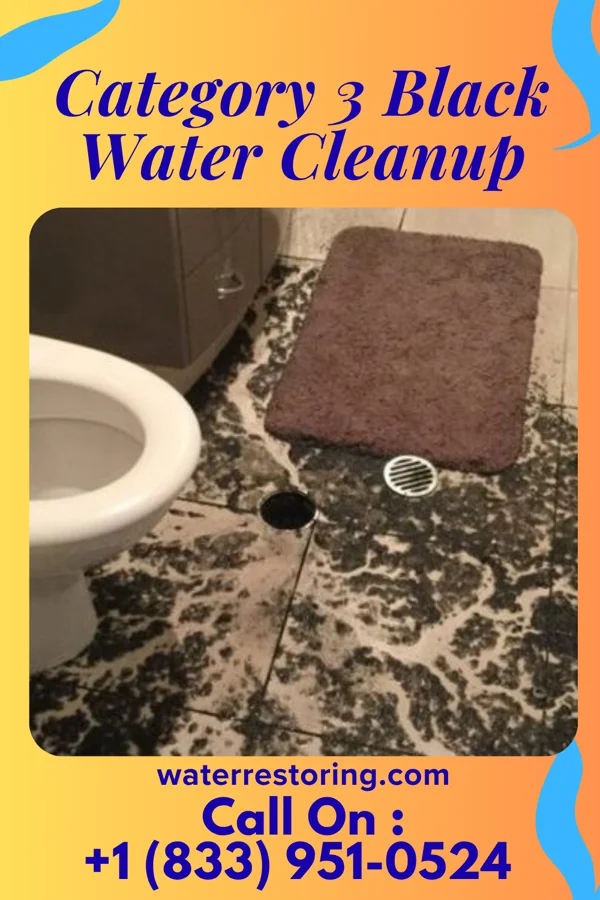 Category 3 Black Water Cleanup in Alba, MO
