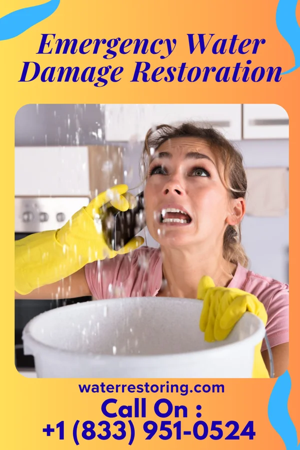 Emergency Water Damage Restoration in Alba, MO