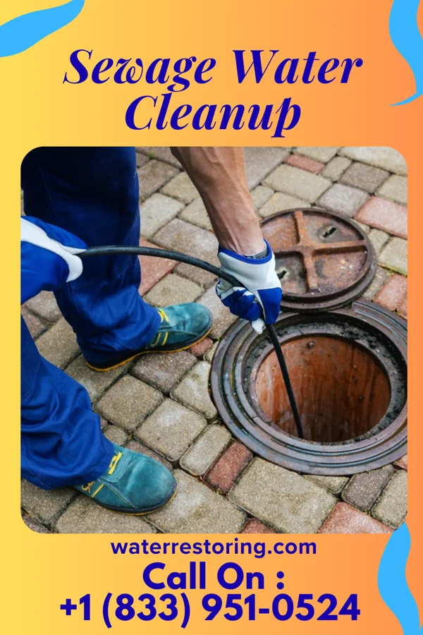 Sewage Water Cleanup in Alba, MO