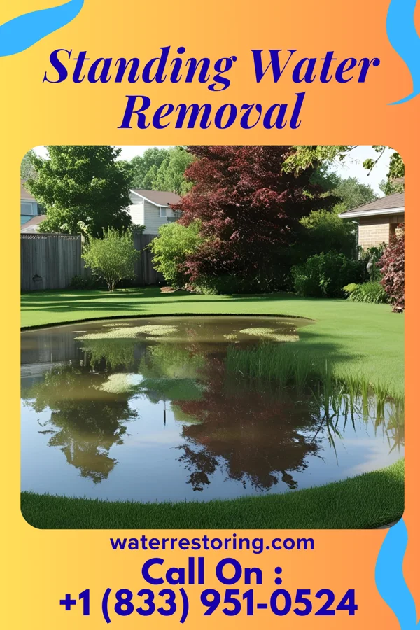 Standing Water Removal in Alba, MO